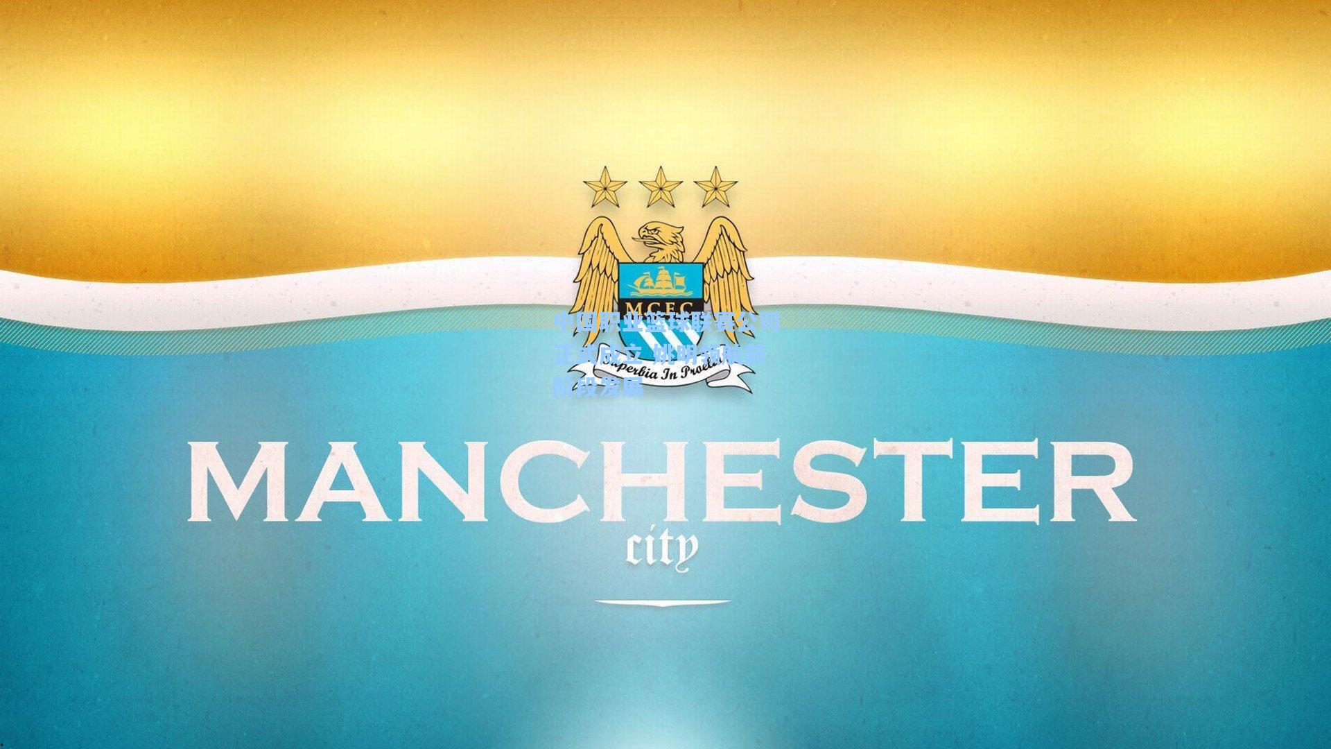 中国职业篮球联赛公司正式成立 姚明领航新阶段发展